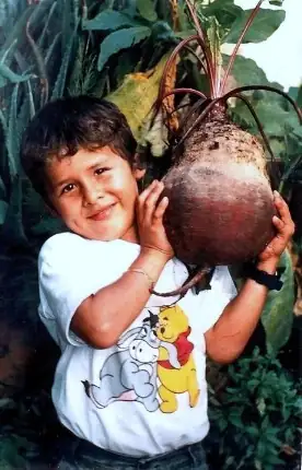 ¡Increíbles verduras gigantes en nuestro municipio!